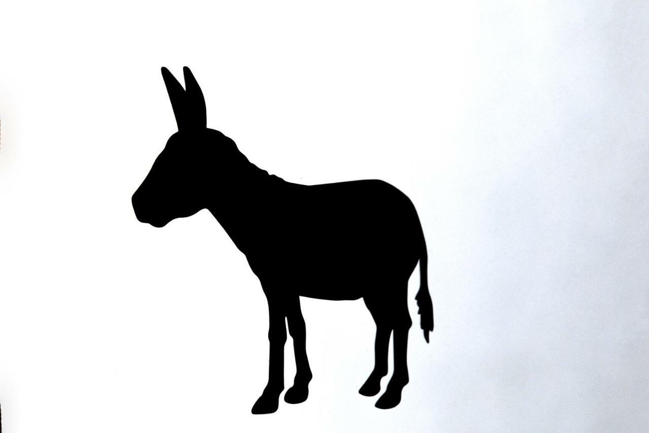 הוילה ויסאו Antiga Casa Da Burra מראה חיצוני תמונה